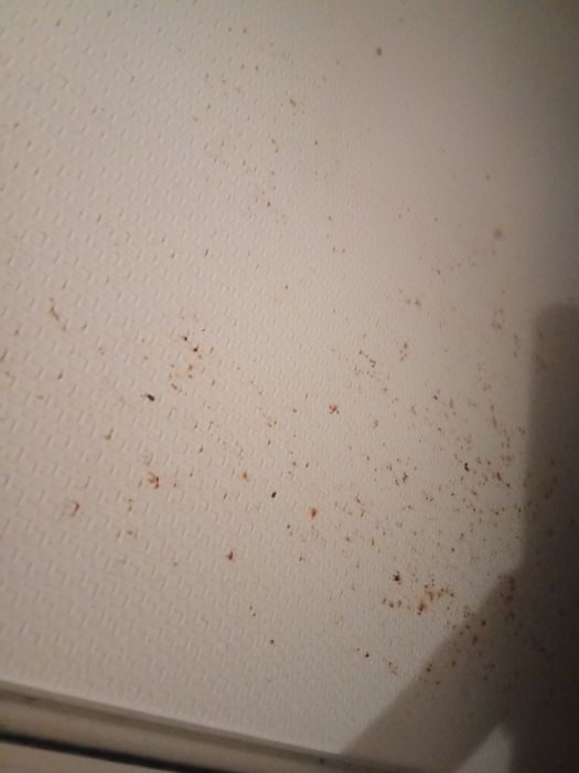 Combinado Kunft 100% funcional