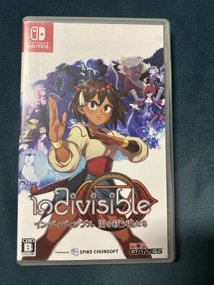 Nintendo Switch Indivisible