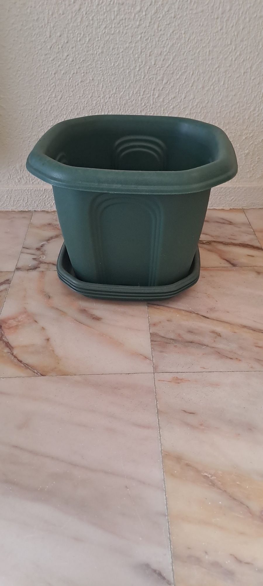 Vasos de plantas