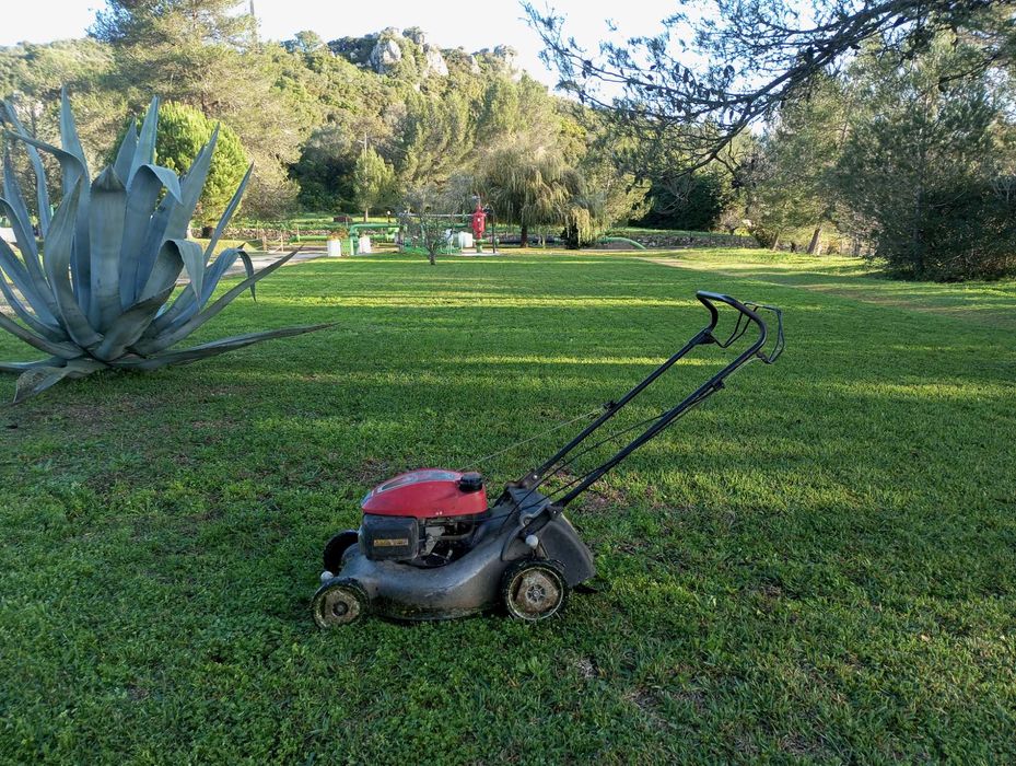 JARDINEIRO Manutenções construção jardins