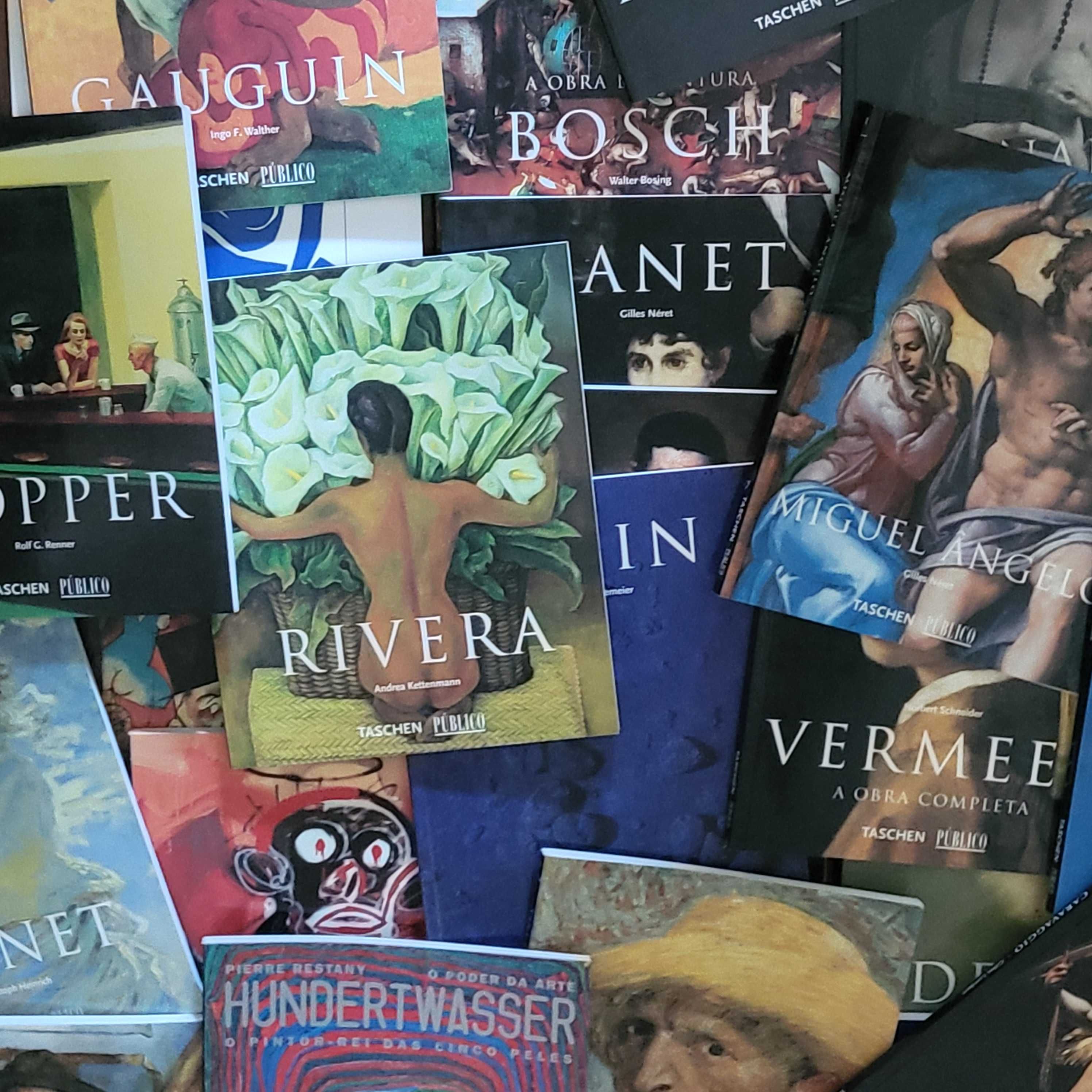 Coleção de livros de arte Taschen Público Vários números