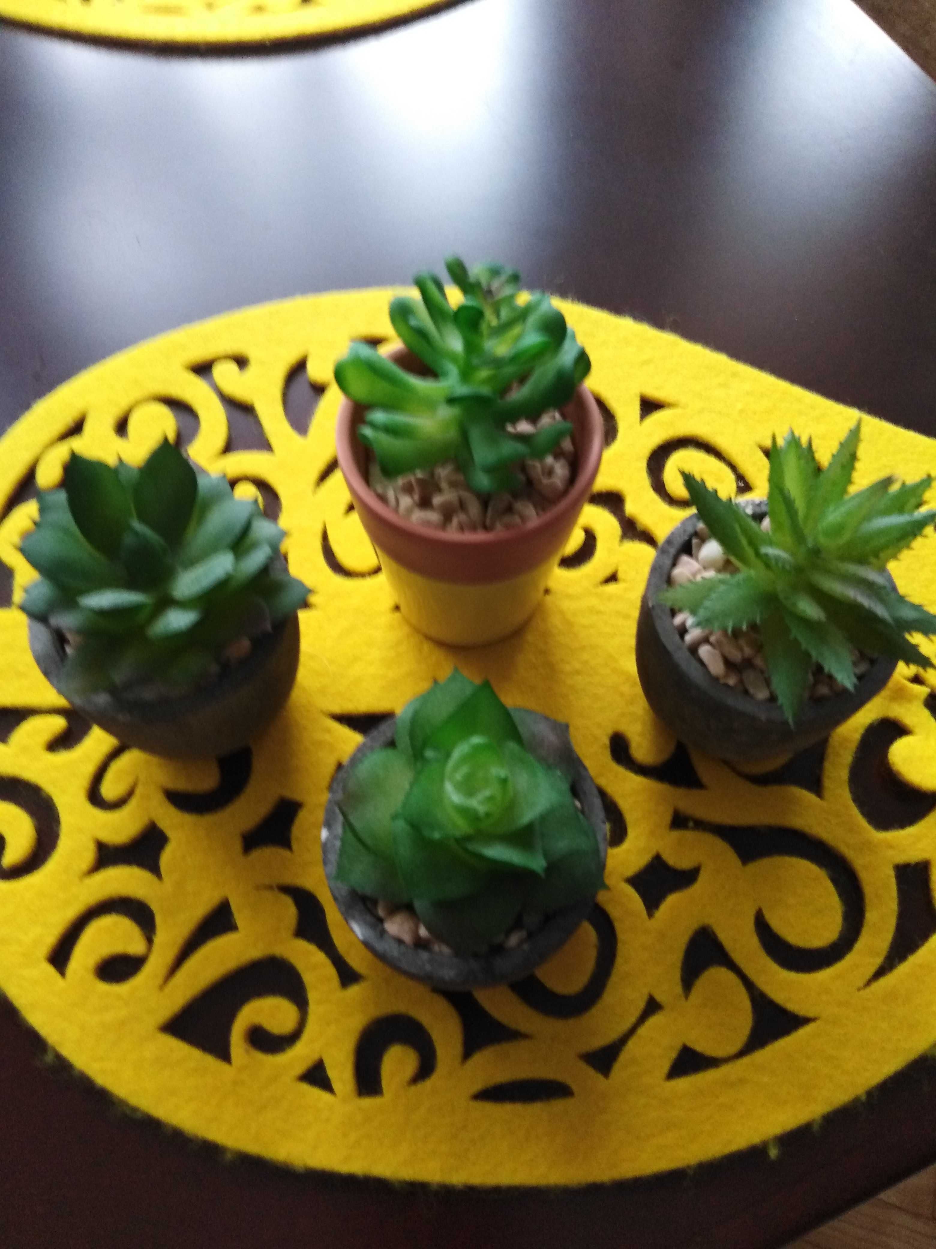 Fejka sztuczne kaktusy sukulety  ceramiczne doniczkach 7 szt do 17 cm