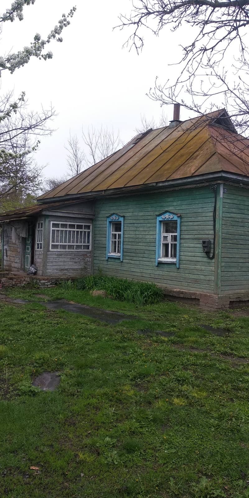 Продаю будинок в Прилуцькому районі село Велика дівиця, Чернігівської
