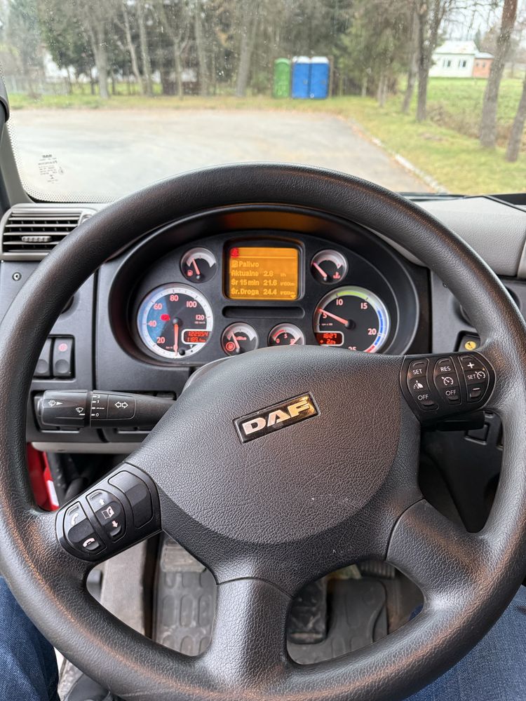 DAF CF360 do przewozu zwierząt