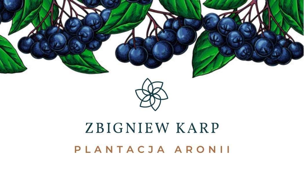 Aronia mrożona z plantacji w Wołowni