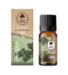 Olejek Eteryczny Cedrowy 100% 10Ml Dary Natury Zapach Drzewny