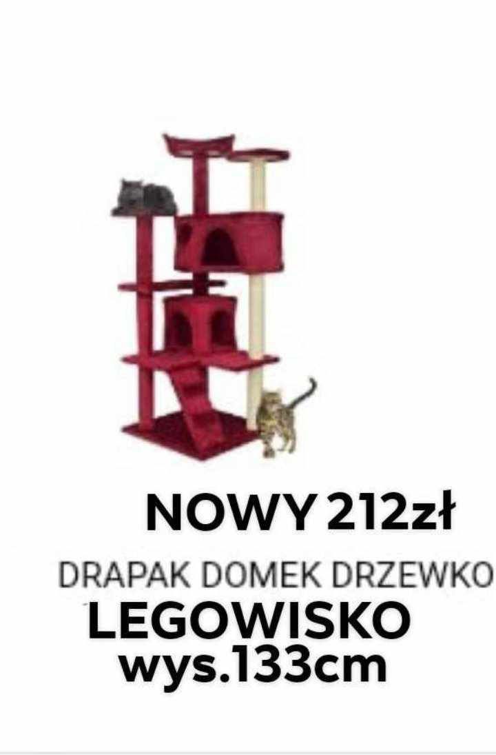 Kocie różne akcesoria