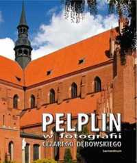 Pelplin w fotografii cezarego dębowskiego br - Cezary Dębowski