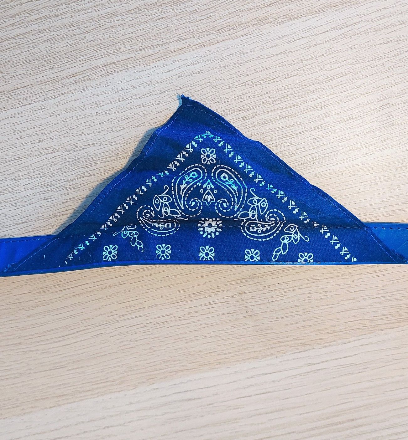 Coleira Bandana Azul