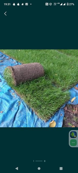 Trawa z rolki z foli lub gruntu od 50 m2.Z ułożeniem lub bez