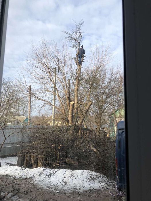 Пиляння дерев будь-якої складності!