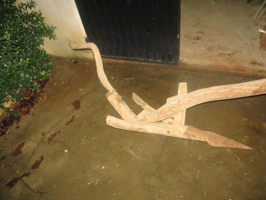 charrua de bois de madeira bico em ferro novo