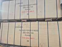 21 mm recykling topola 2.5x 1.25 m