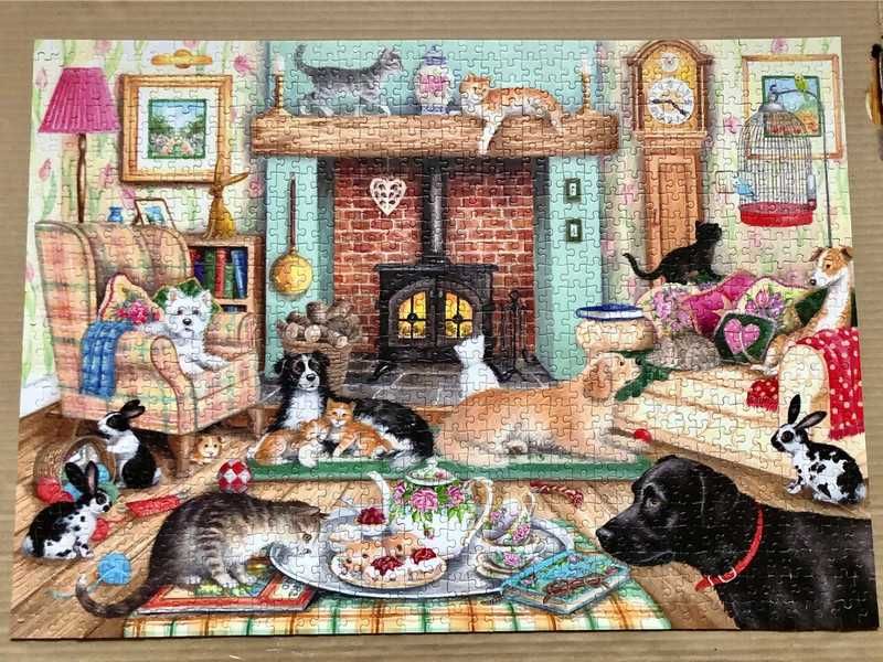 Puzzle 2x1000 "Zwierzęta domowe" (Animals at home) Falcon, Jumbo