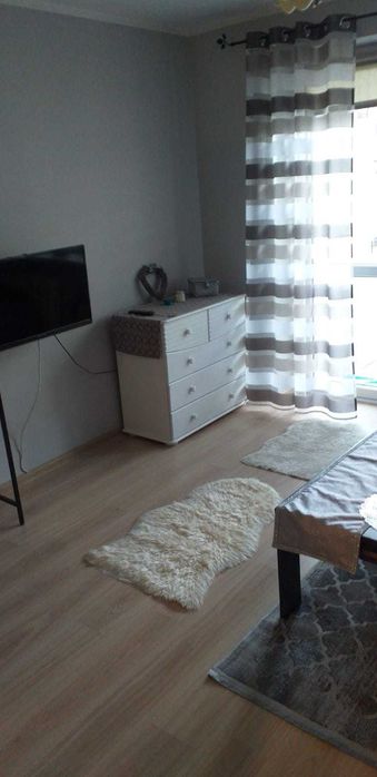 2 pokojowe mieszkanie do wynajecia PLOCK