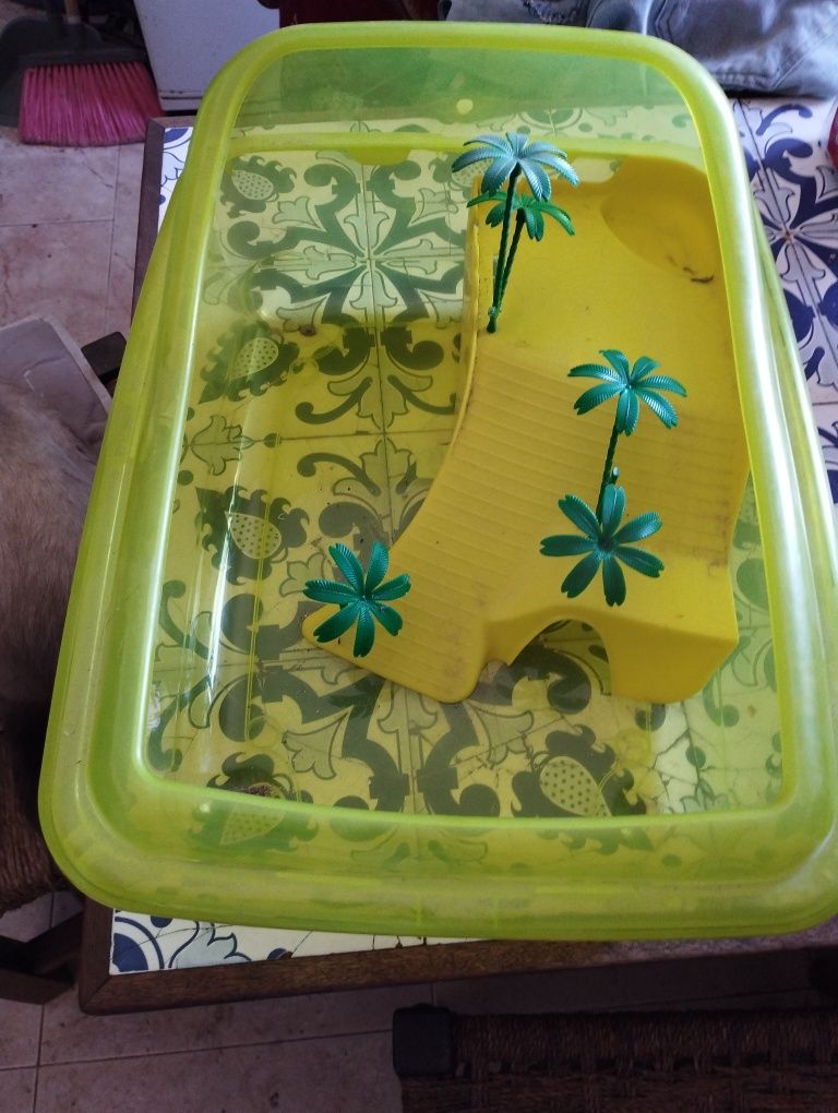 Aquário para tartaruga pequena