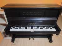 Pianino ED. SEILER