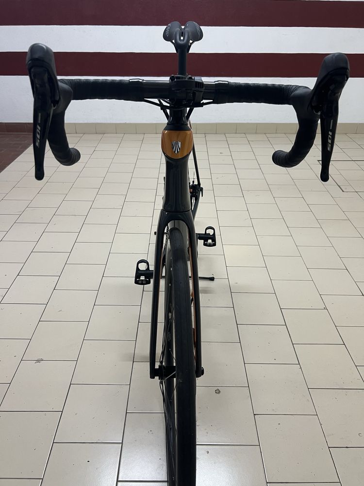 Bicicleta Trek Domane Sl5