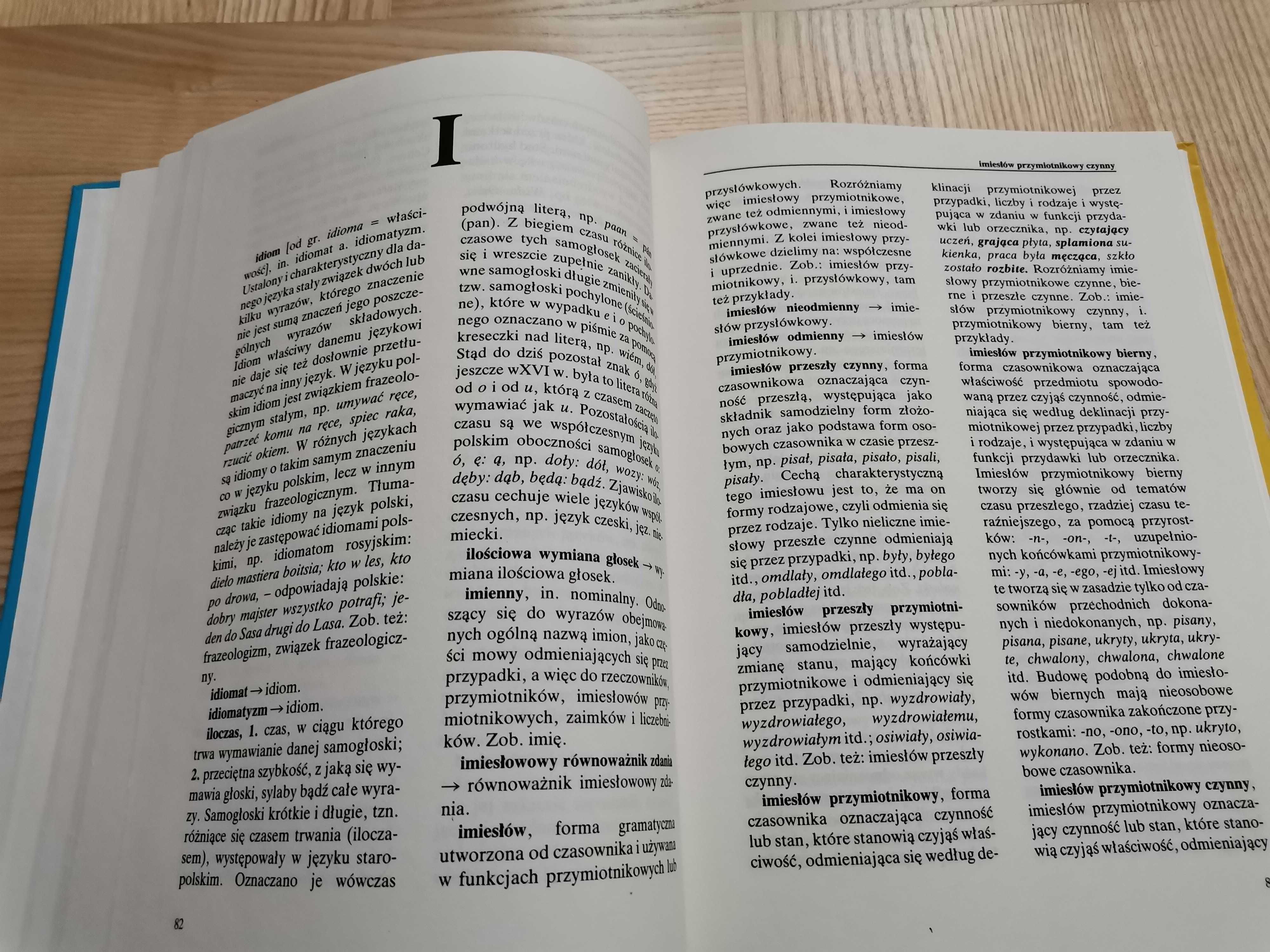 Szkolny słownik nauki o języku.