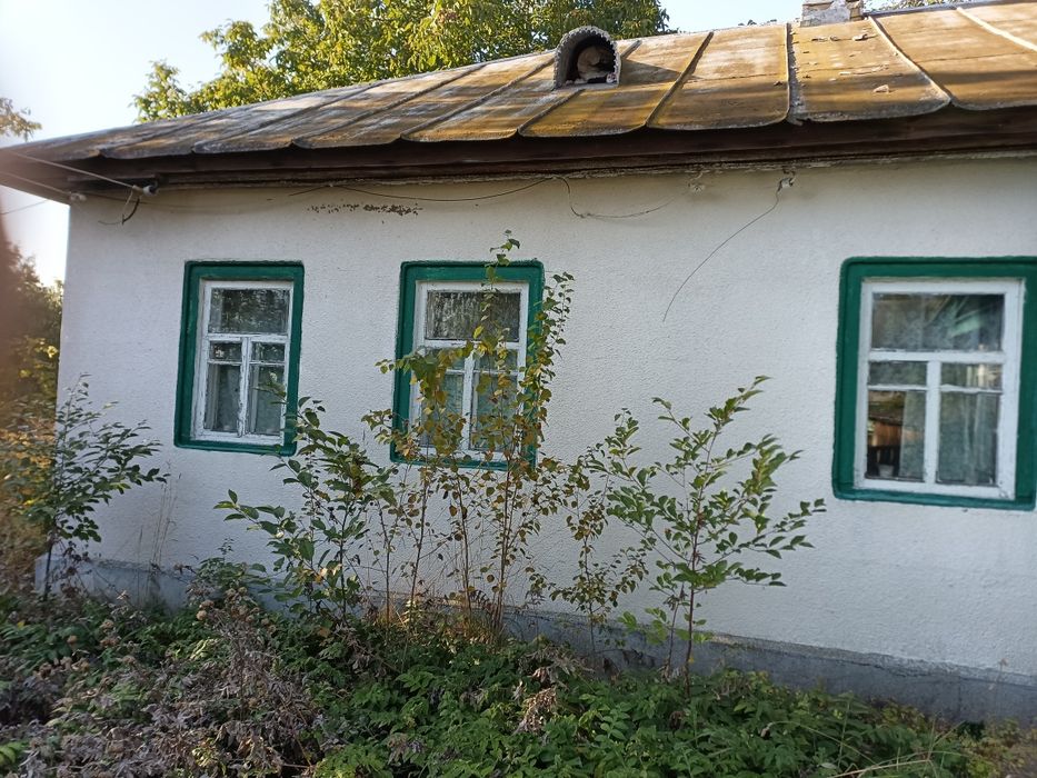 Здам дом в селе для проживания и ведения сельского хозяйства