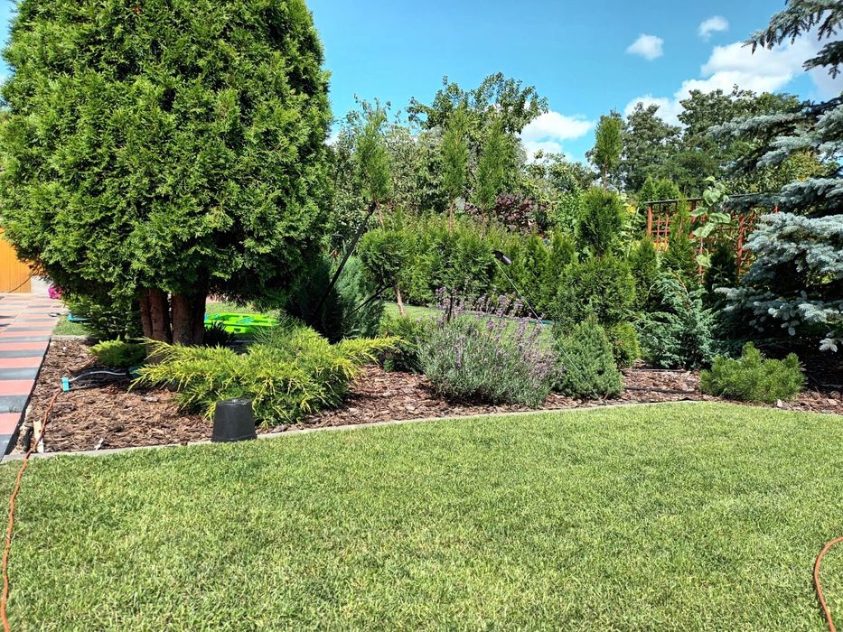 Działka ROD w centrum Torunia