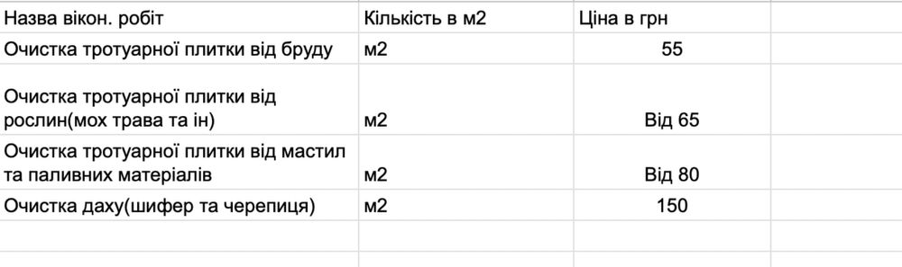 Мийка тротуарної плитки,подвірʼя Клінінг