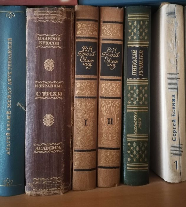 В. Брюсов в 2 томах