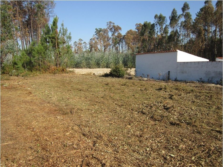 Limpeza de terrenos.