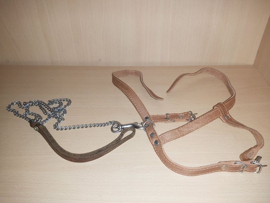 Кожаный поводок для не большой собаки