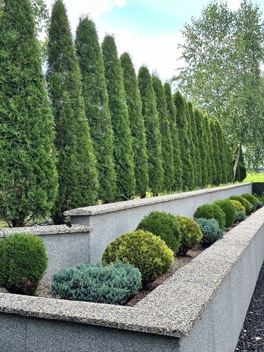 Здається будинок