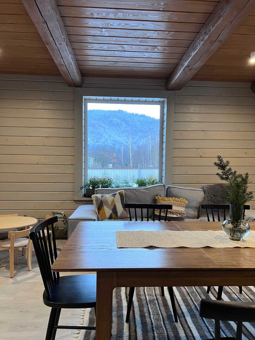 СУЧАСНИЙ БУДИНОК, відпочинок В КАРПАТАХ біля річки та лісу, зал 30м2