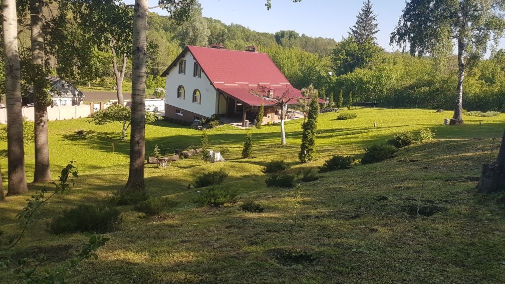 Сауна,баня з сіном, релакс,відпочинок.