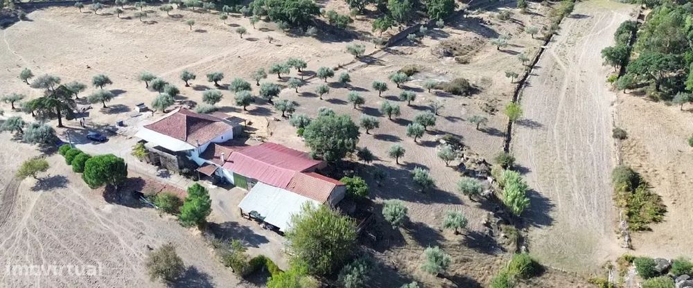 Oportunidade! Quinta S. Bartolomeu, Castelo Branco