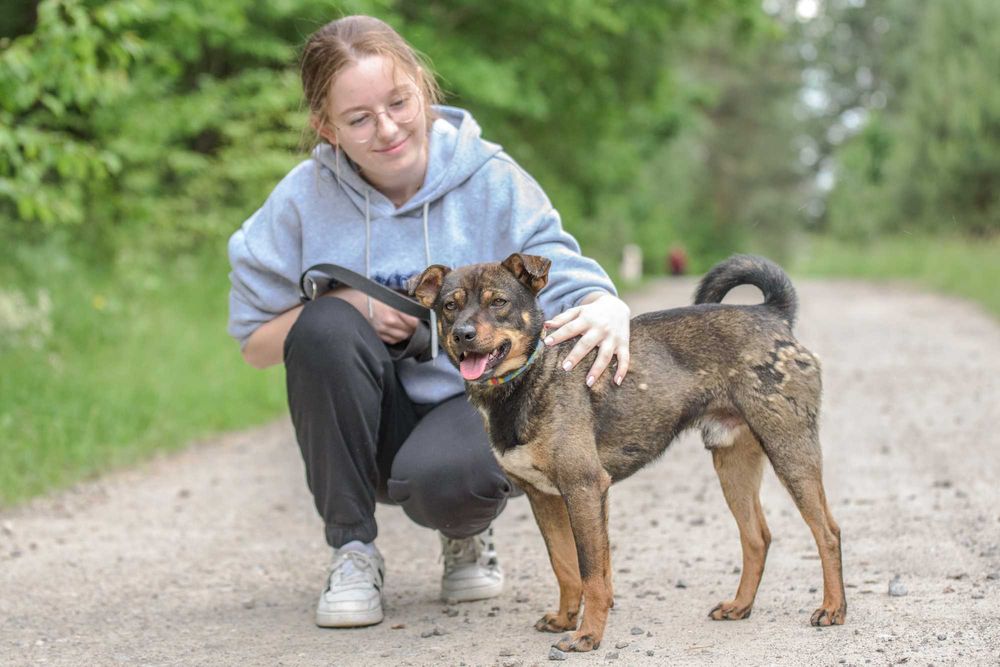Nankin - nieduży młodziak szuka swojej rodziny