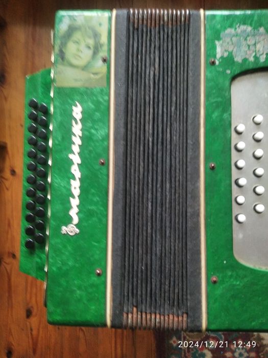 Гармошка " Марічка"