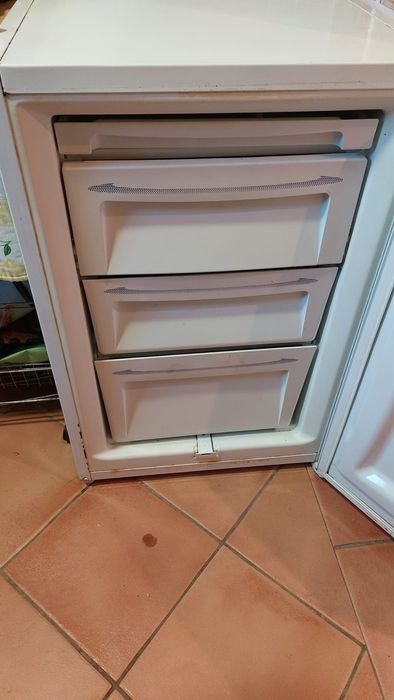 Arca Congeladora