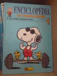 Enciclopédia Charlie Brown