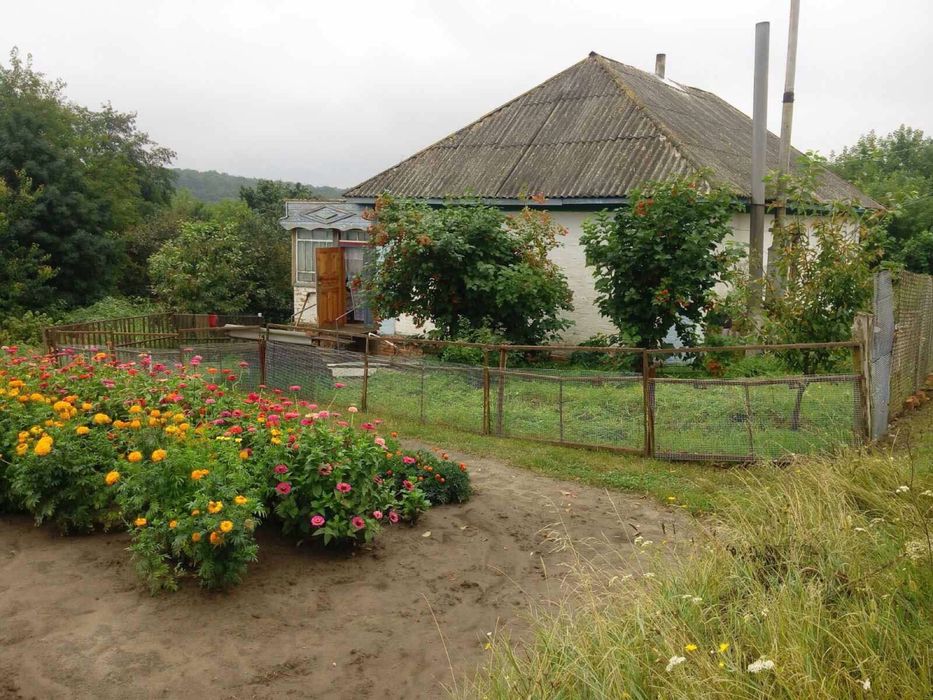 Будинок в с. Ступаківка