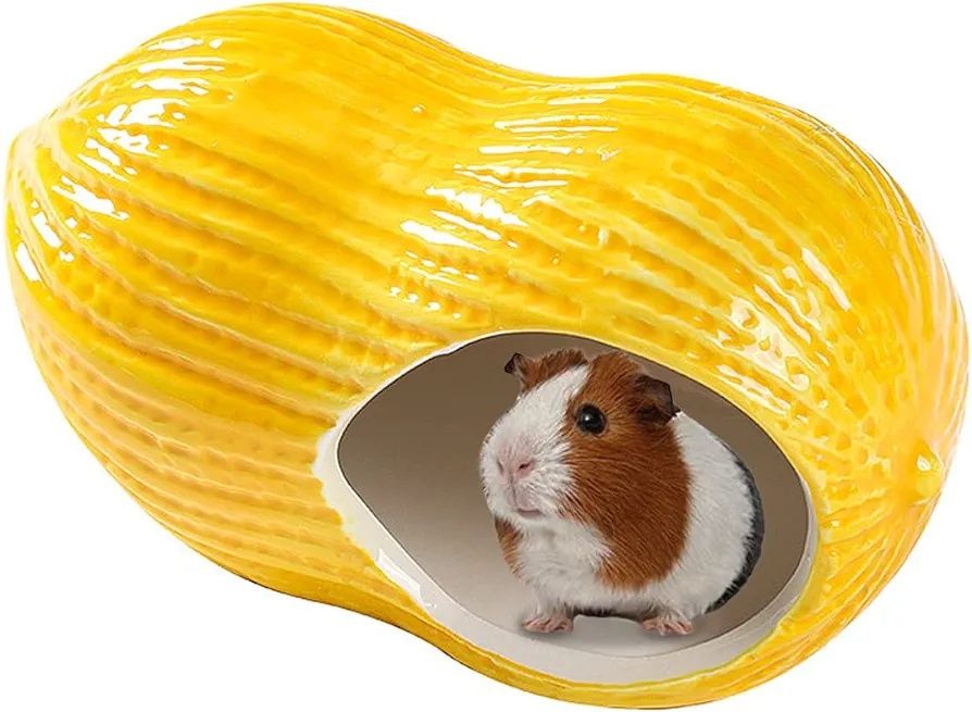 Esconderijo de hamster ou animais pequenos NOVO - PORTES GRÁTIS