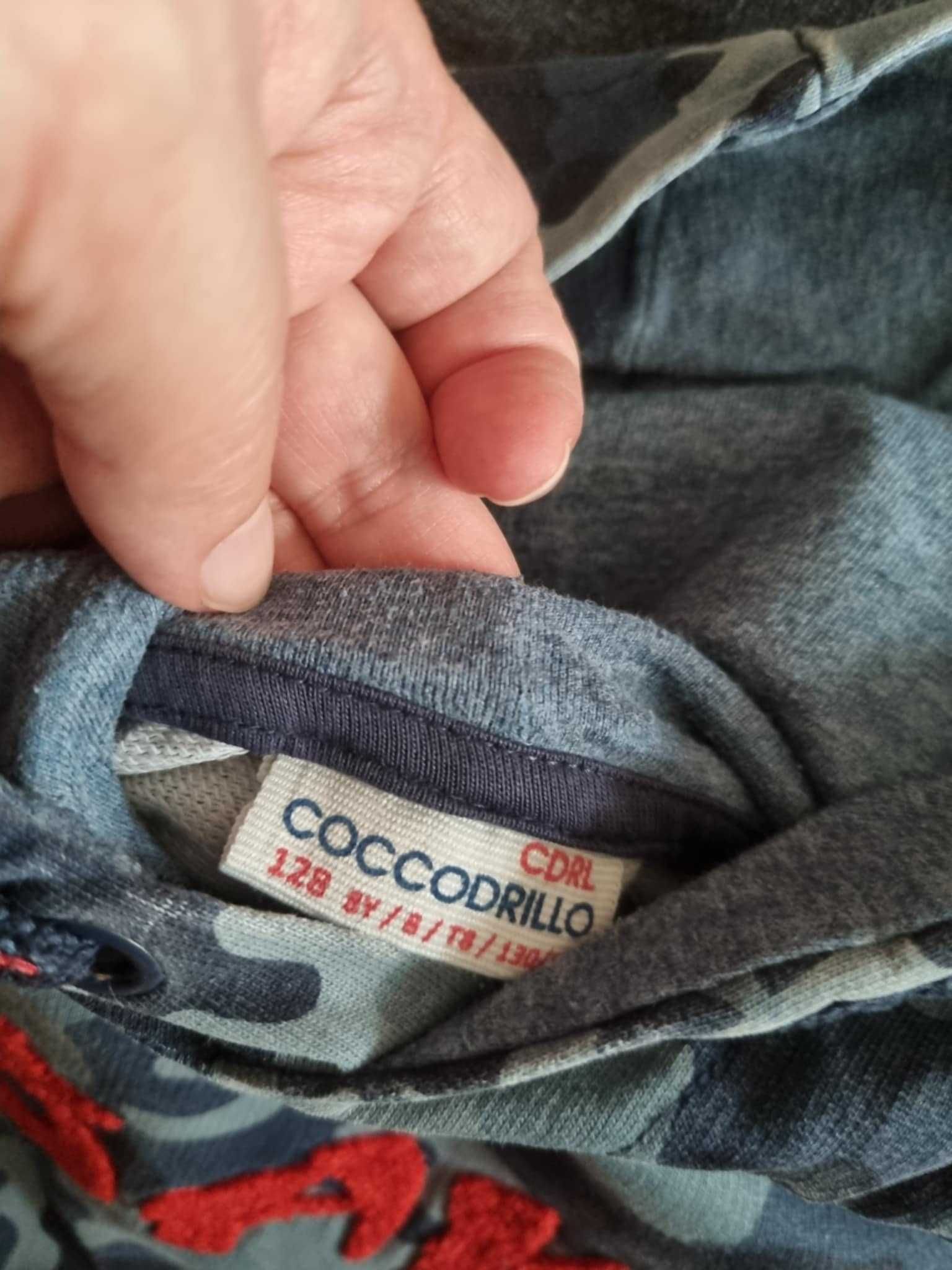 Bluzy dla chłopca r 128 Cocodrillo i inne