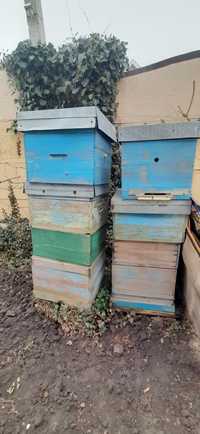 Ульи Улики Рамки для Пчёл и пчеловодства