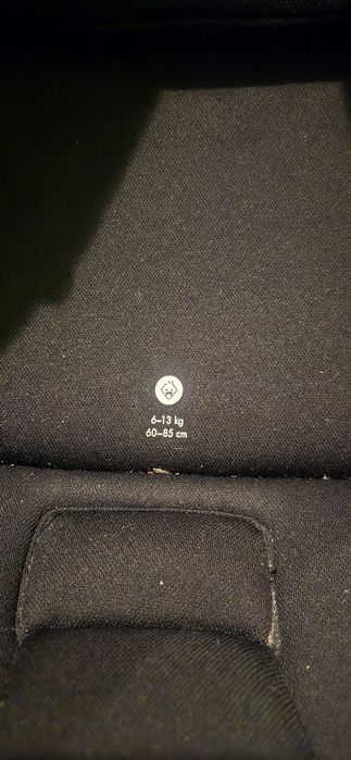 Swandoo Albert fotelik samochodowy 0-13kg