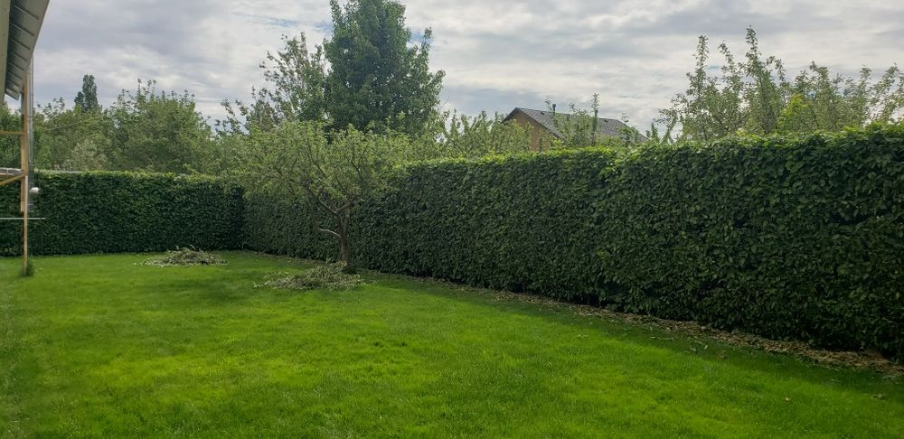 Топіарна стрижка рослин  автоматичний полив стрижка газону