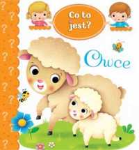 Co to jest? Owce - Emilie Beaumont, Nathalie Belineau