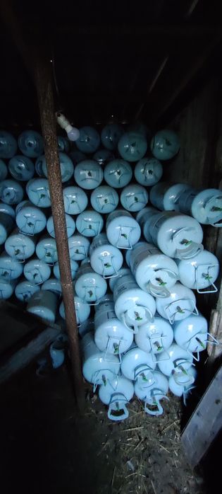 Балони з під фреону