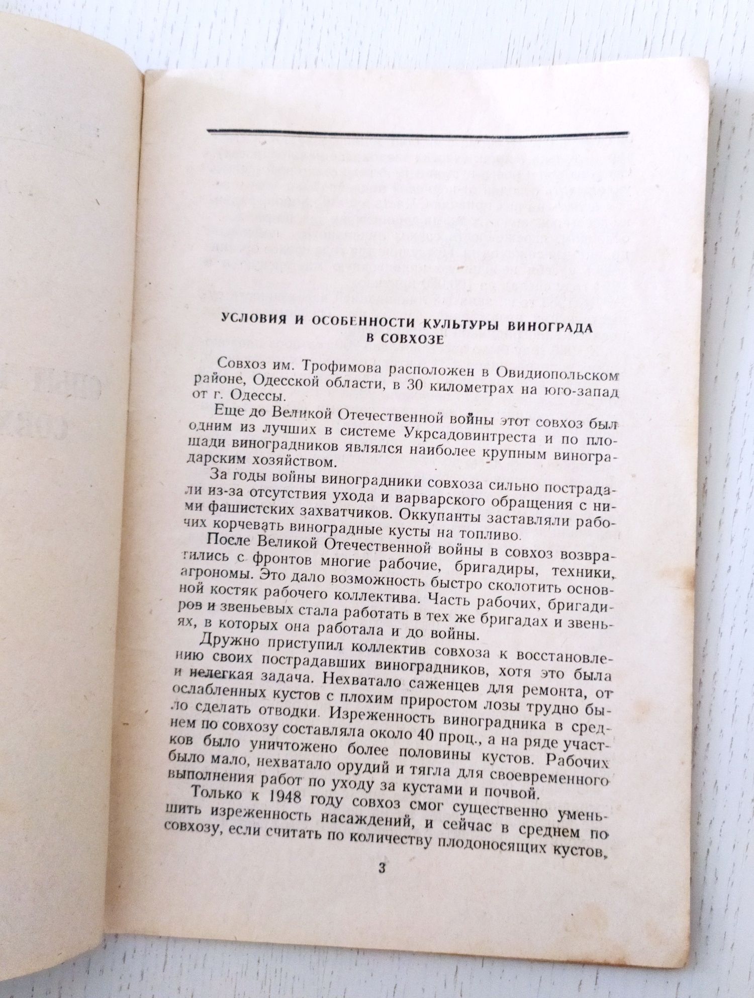 ВИНОГРАДНИК Уход и Обработка почвы Виноградарство виноградная лоза