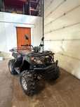 BASHAN  Bs200au-11