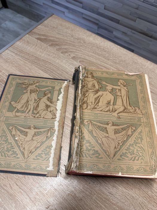 Kobieta lekarką domową. Wiedeń 1909, Anna Fischer-Duckelmann