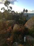 Terreno florestal
