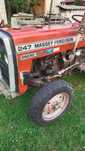 Massey Ferguson sadowniczy 247